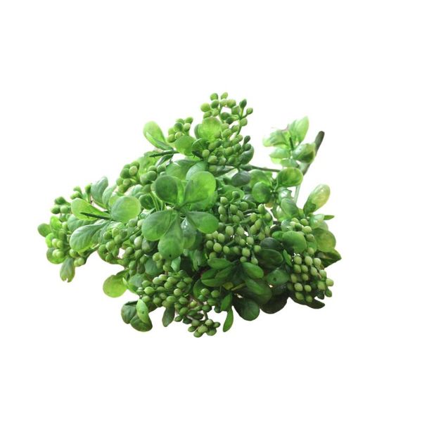 party decoration artificial lifelike berries fake mini simulation decorative fruit plants (green)
party decoration artificial lifelike berries fake mini simulation decorative fruit plants (green)