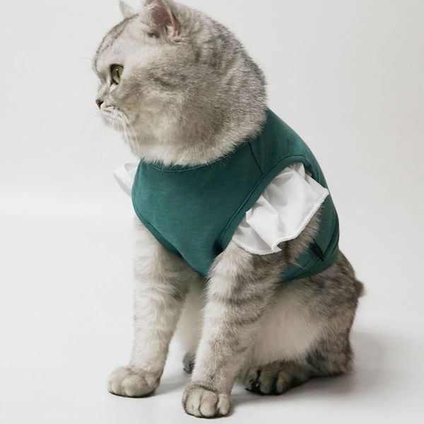 cat costumes small medium-sized dog clothing solid color short-sleeved shirt cute puppy kitten vest comfortable durable pet clothes
cat costumes small medium-sized dog clothing solid color short-sleeved shirt cute puppy kitten vest comfortable durable pet clothes