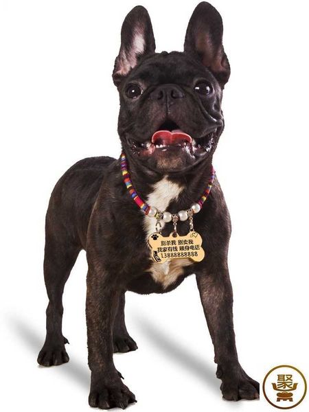 dog id tag small dog anti lost lettering teddy bear bomei cat collar bell necklace xcp3
dog id tag small dog anti lost lettering teddy bear bomei cat collar bell necklace xcp3
