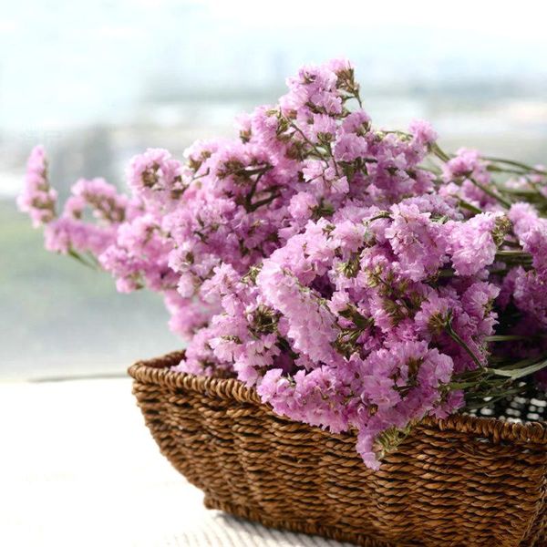 pink color dried natural flower bouquets myosotis sylvatica bouquets&forget me not decorative flowers & wreaths
pink color dried natural flower bouquets myosotis sylvatica bouquets&forget me not decorative flowers & wreaths