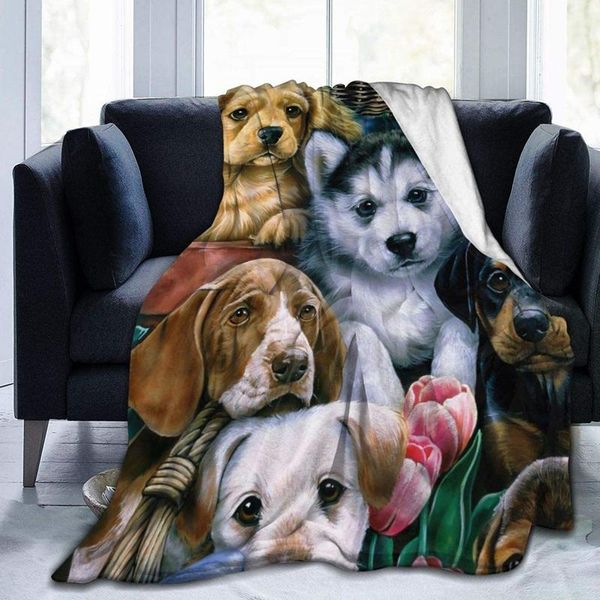 blankets cute puppy premium throw blanket 3d print on demand sherpa super comfortable for sofa thin quilt air conditioning travel
blankets cute puppy premium throw blanket 3d print on demand sherpa super comfortable for sofa thin quilt air conditioning travel