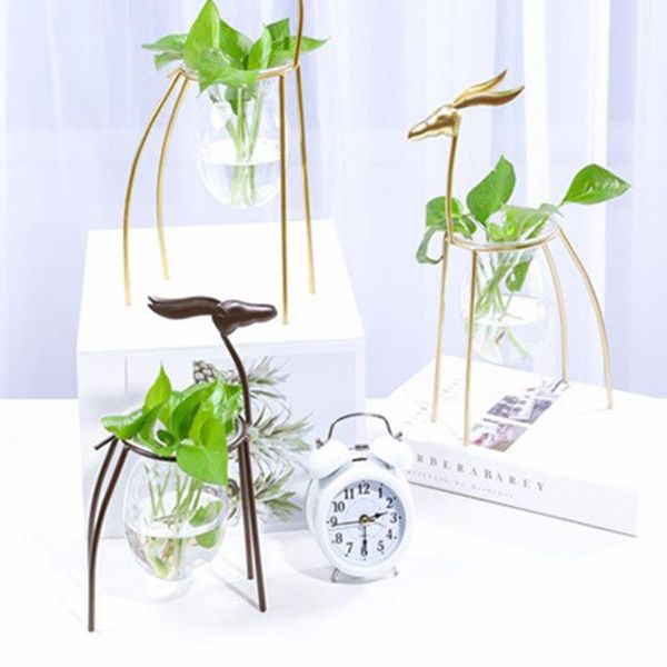 vases elk elements flower pot wrought iron transparent vase geometric cactus plant tube modern wild style decorations
vases elk elements flower pot wrought iron transparent vase geometric cactus plant tube modern wild style decorations