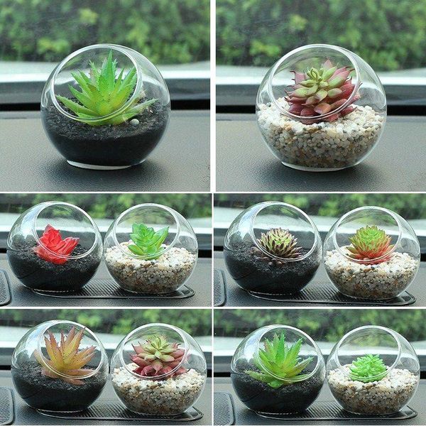 interior decorations kawaii car accessories decoration succulent plant of emulational potted home it contains bamboo charcoal
interior decorations kawaii car accessories decoration succulent plant of emulational potted home it contains bamboo charcoal