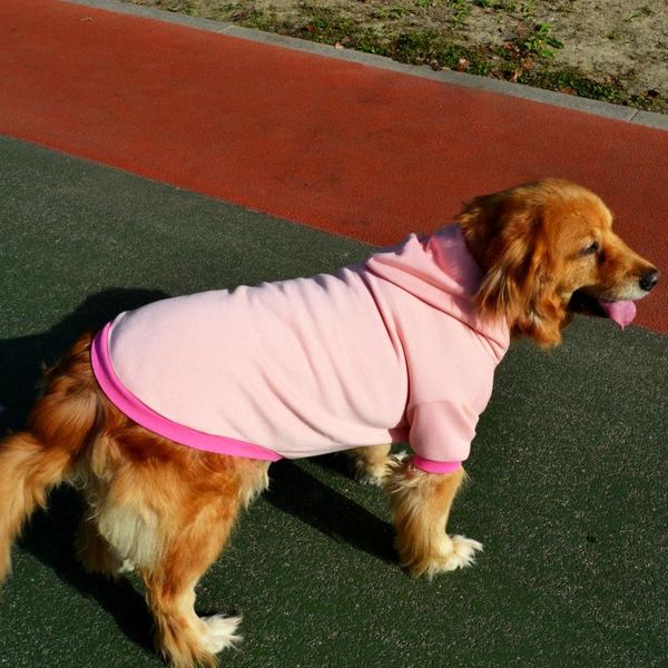 dog apparel stripe big sweater winter warm pet clothes for small large chihuahua golden retriever coat puppy suit dogs pets clothing
dog apparel stripe big sweater winter warm pet clothes for small large chihuahua golden retriever coat puppy suit dogs pets clothing