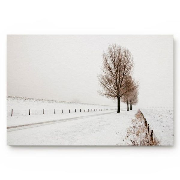 cushion/decorative pillow plant trees fence white fog living room doormat home environmental protection bathroom door non-slip floor mat
cushion/decorative pillow plant trees fence white fog living room doormat home environmental protection bathroom door non-slip floor mat