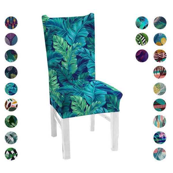 chair covers kitchen cover stretch elastic seat slipcover palm leaves dining spandex 1pc
chair covers kitchen cover stretch elastic seat slipcover palm leaves dining spandex 1pc