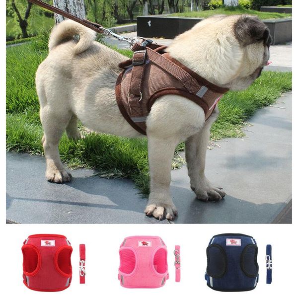 dog collars & leashes pet accessories harnesses for dogs reflective chest strap small medium harness leash set cordury vest clothes
dog collars & leashes pet accessories harnesses for dogs reflective chest strap small medium harness leash set cordury vest clothes