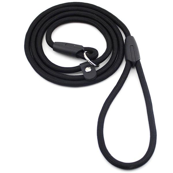 1pc dog collar nylon pet leash adjustable set comfort handle walking harnesses gift products collars & leashes
1pc dog collar nylon pet leash adjustable set comfort handle walking harnesses gift products collars & leashes