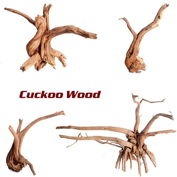 drift wood fish tank driftwood natural tree trunk aquarium plant aquario decoration golden forest decor decorations
drift wood fish tank driftwood natural tree trunk aquarium plant aquario decoration golden forest decor decorations