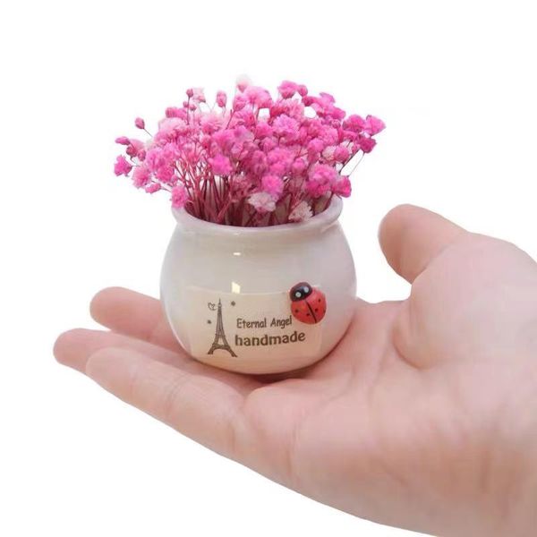 all over the sky eternal life flower mini bottle car home bedroom furnishings ins small fresh accompany hand ceremony interior decorations
all over the sky eternal life flower mini bottle car home bedroom furnishings ins small fresh accompany hand ceremony interior decorations