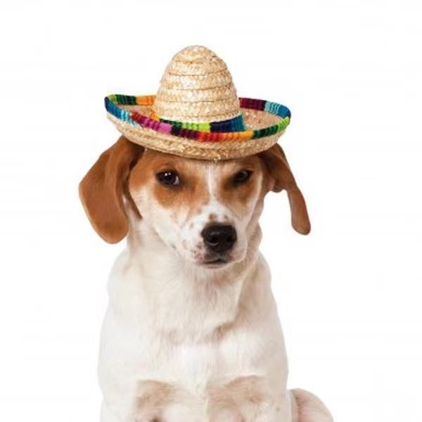 pet hat, puppy straw cuffed home decoration lace toy fisherman hat harvest festival dog apparel
pet hat, puppy straw cuffed home decoration lace toy fisherman hat harvest festival dog apparel