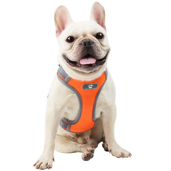 dog collars & leashes pet vest-style adjustable breathable reflective and comfortable leashe chest harness suitable for medium large gogs
dog collars & leashes pet vest-style adjustable breathable reflective and comfortable leashe chest harness suitable for medium large gogs