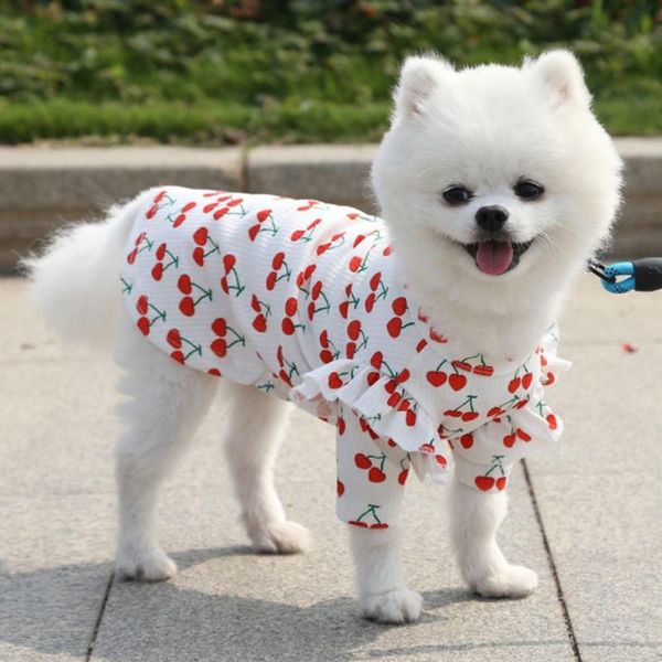 dog apparel pet cat vest t-shirt shirt cute cherry all season comfortable breathable clothes base
dog apparel pet cat vest t-shirt shirt cute cherry all season comfortable breathable clothes base