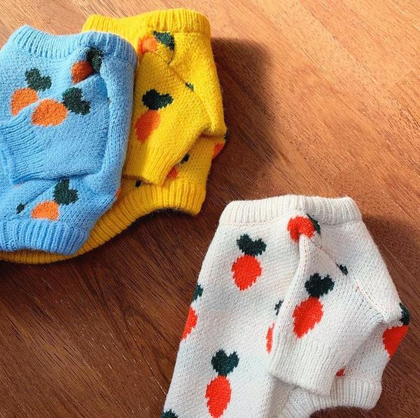 pet teddy clothes cat bichon pomeranian poodle small dog schnauzer knitted sweater apparel
pet teddy clothes cat bichon pomeranian poodle small dog schnauzer knitted sweater apparel