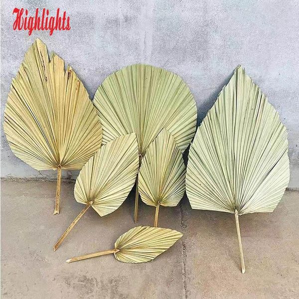 palm fan leaf dried flower window reception party art wall hanging decoration wedding arch arrangement
palm fan leaf dried flower window reception party art wall hanging decoration wedding arch arrangement
