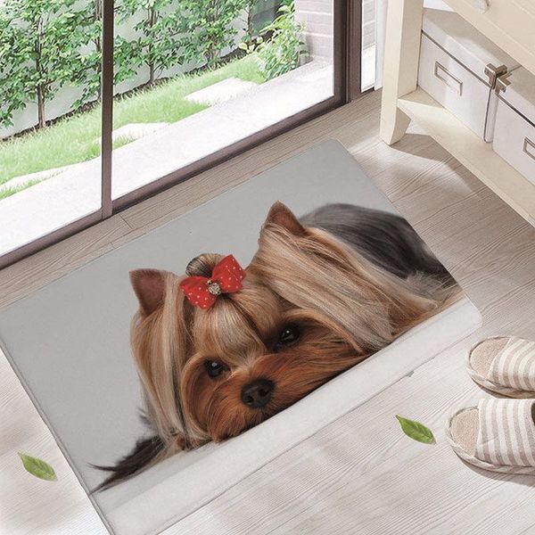 cushion/decorative pillow 30 arrive door mats for entrance character cute dog animals pattern carpets living room dust proof home decor
cushion/decorative pillow 30 arrive door mats for entrance character cute dog animals pattern carpets living room dust proof home decor