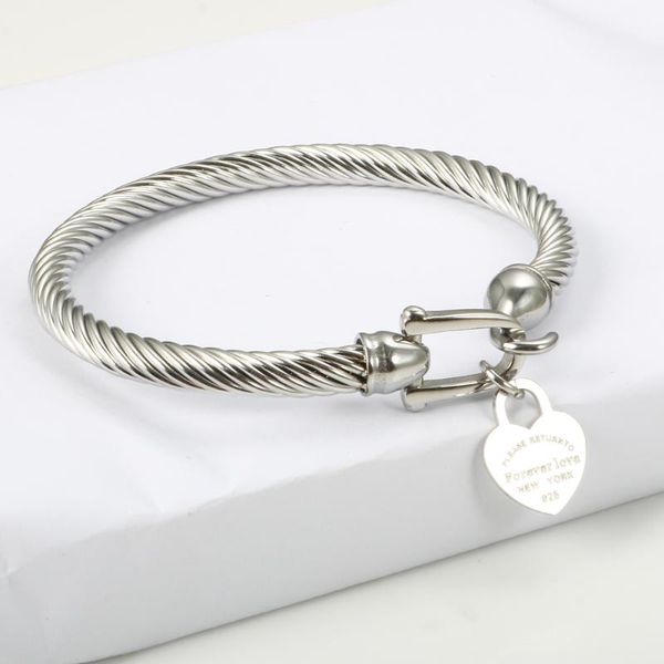 titanium steel bangle cable wire gold color love heart charm bangle bracelet with hook closure for women men wedding jewelry gifts1, Black
titanium steel bangle cable wire gold color love heart charm bangle bracelet with hook closure for women men wedding jewelry gifts1, Black