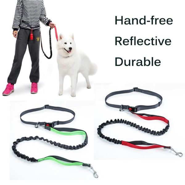 hands dog leash for running jogging walking hiking durable bungee with handle - reflective stitching adjustable collars & leashes
hands dog leash for running jogging walking hiking durable bungee with handle - reflective stitching adjustable collars & leashes