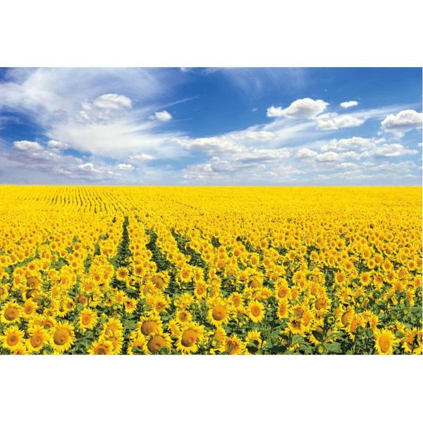 party decoration blue sky and white clouds backdrop blooming sunflowers background wedding po pography studio props family
party decoration blue sky and white clouds backdrop blooming sunflowers background wedding po pography studio props family