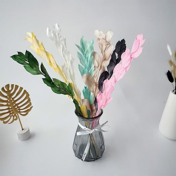 decorative flowers & wreaths 5pcs dried natural orange leaves real eternell flores preservadas plant diy home decor wedding ornament party s
decorative flowers & wreaths 5pcs dried natural orange leaves real eternell flores preservadas plant diy home decor wedding ornament party s