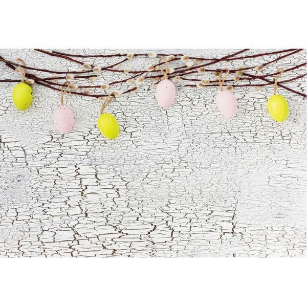 party decoration easter backdrop cracked wooden board egg pography background family holiday decor po booth studio prop
party decoration easter backdrop cracked wooden board egg pography background family holiday decor po booth studio prop