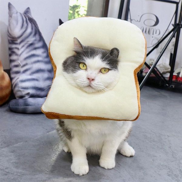 dog collars & leashes pets prevent bite neck ring soft cotton collar toast shaped cat adjustable wound healing e-collar 2 1
dog collars & leashes pets prevent bite neck ring soft cotton collar toast shaped cat adjustable wound healing e-collar 2 1