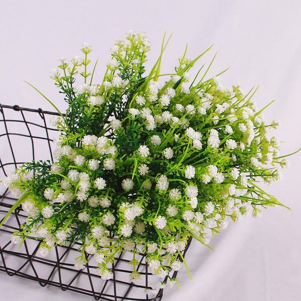vivid p.tenuiflora green plastic grass plants artificial flower babysbreath wedding home christmas decor party office decorative flowers & w
vivid p.tenuiflora green plastic grass plants artificial flower babysbreath wedding home christmas decor party office decorative flowers & w