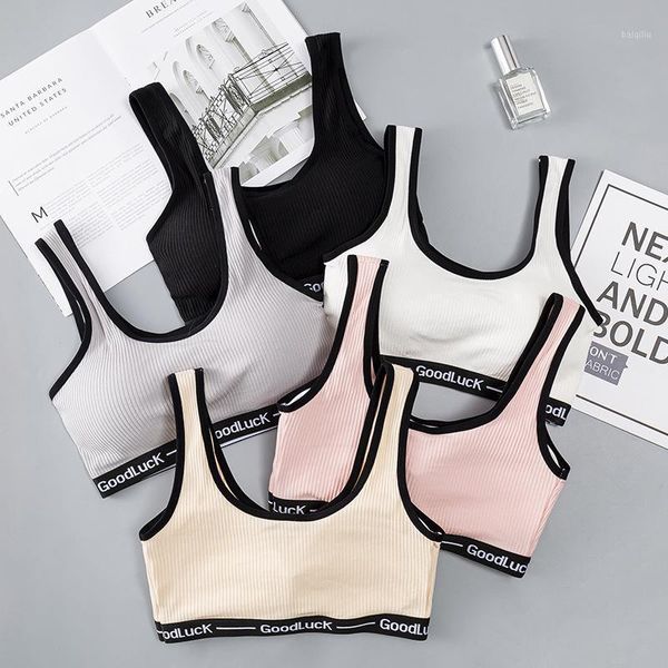 yoga outfit women sport bra breathable fitness running vest quick dry underwear padded crop gym
yoga outfit women sport bra breathable fitness running vest quick dry underwear padded crop gym