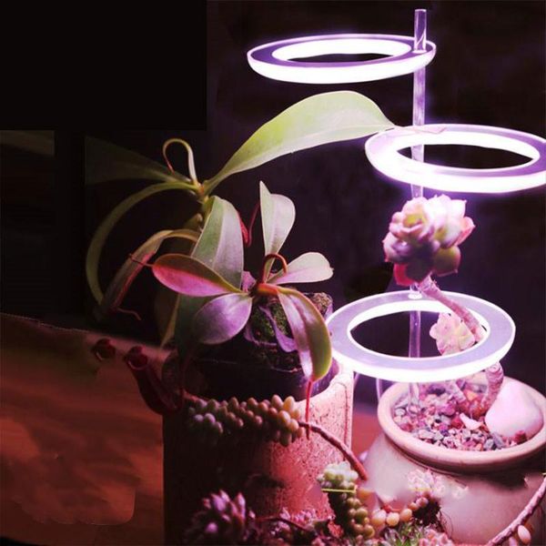 grow lights led light full spectrum phyto lamp usb phytolamp plants 5v for growth lighting indoor plant
grow lights led light full spectrum phyto lamp usb phytolamp plants 5v for growth lighting indoor plant