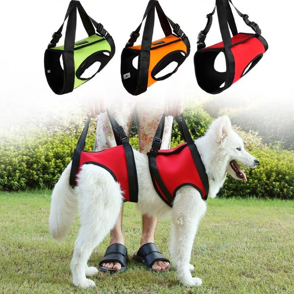 dog collars & leashes pets large dogs harnesses outdoor walking collar leash for small vest puppy lead pet accessories basic harness mp0004
dog collars & leashes pets large dogs harnesses outdoor walking collar leash for small vest puppy lead pet accessories basic harness mp0004