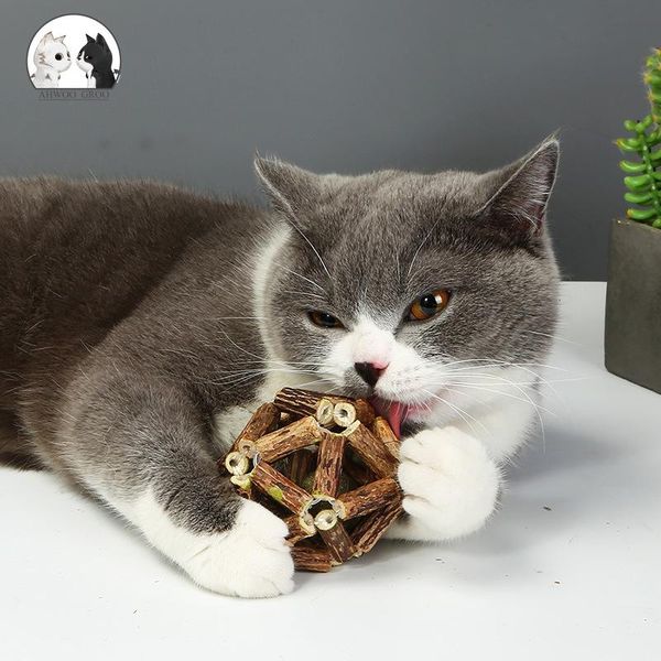 cat toys organic plant silvervine ball natural matatabi toy kitten interactive molar catnip sticks teeth bite
cat toys organic plant silvervine ball natural matatabi toy kitten interactive molar catnip sticks teeth bite