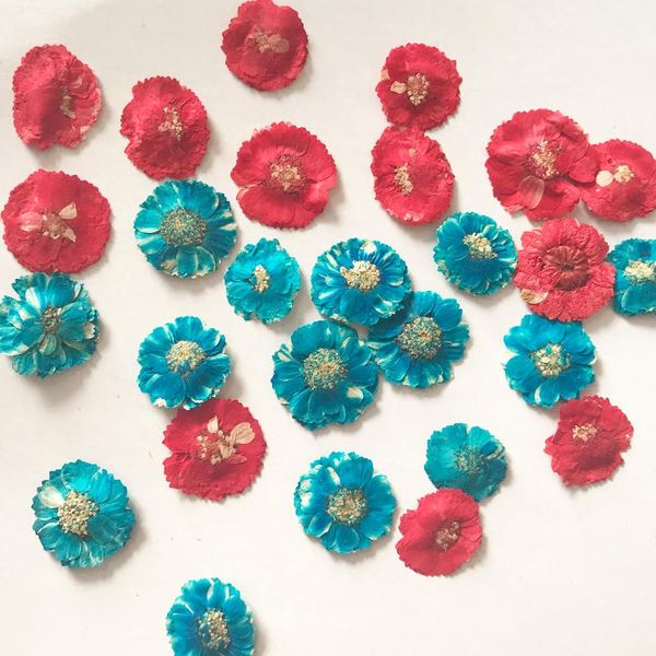 decorative flowers & wreaths 30pcs small daisy dried pressed flower package ent for glass ornaments
decorative flowers & wreaths 30pcs small daisy dried pressed flower package ent for glass ornaments