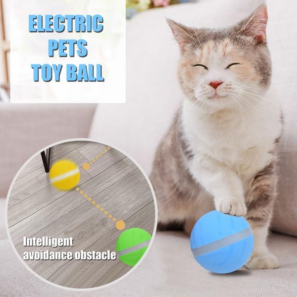 cat toys funny jumping toy pet bouncing puppy kitten playing bouncy balls for accessories
cat toys funny jumping toy pet bouncing puppy kitten playing bouncy balls for accessories