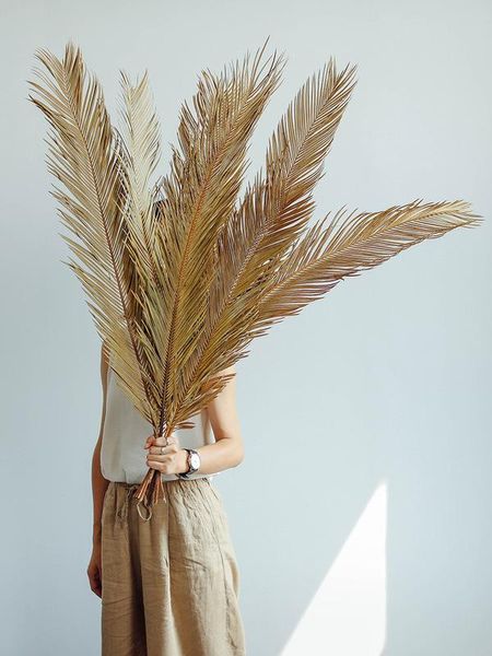 decorative flowers & wreaths 60cm fruticose dracaena leaf ,natural dried plant sago cycas branch,dry palm fan leaves,party wedding home tabl
decorative flowers & wreaths 60cm fruticose dracaena leaf ,natural dried plant sago cycas branch,dry palm fan leaves,party wedding home tabl
