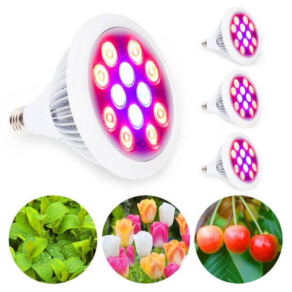 4pcs/lot 36w e27 led horticulture plant growing lamp grow light spectrum full bloom general hydroponics lights
4pcs/lot 36w e27 led horticulture plant growing lamp grow light spectrum full bloom general hydroponics lights