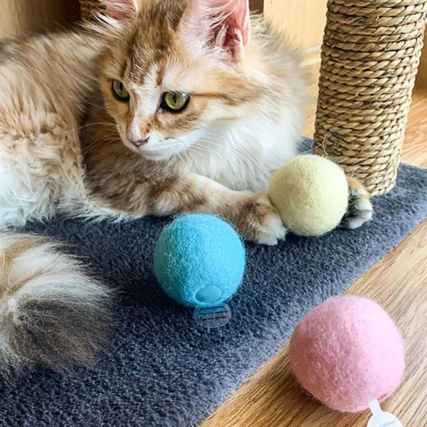 cat toys interactive toys, pet supplies, insect calls, sound wool ball, catnip kitten,fancy toy trump
cat toys interactive toys, pet supplies, insect calls, sound wool ball, catnip kitten,fancy toy trump