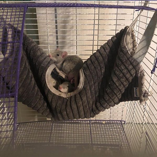 small animal supplies pet tunnel hammock for animals sugar glider tube bed rat ferret toy hamster guinea pig squirrel chinchilla house
small animal supplies pet tunnel hammock for animals sugar glider tube bed rat ferret toy hamster guinea pig squirrel chinchilla house