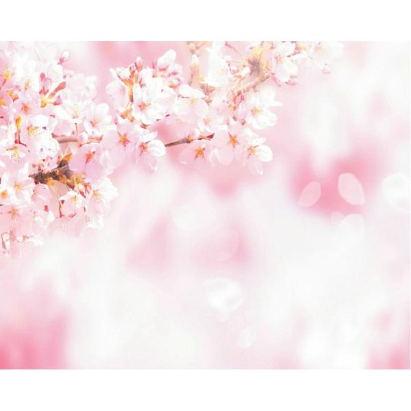 party decoration blooming cherry blossom petals pink birthday backdrop baby shower room decor po booth studio prop
party decoration blooming cherry blossom petals pink birthday backdrop baby shower room decor po booth studio prop
