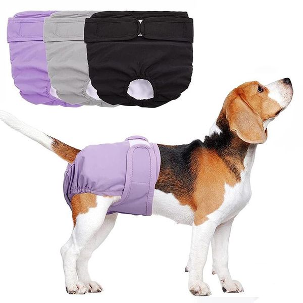 dog apparel physiological pants strong absorbent pet diaper for dogs cats adjustable no leak sanitary puppy panties supplies
dog apparel physiological pants strong absorbent pet diaper for dogs cats adjustable no leak sanitary puppy panties supplies