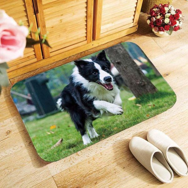 cute border collie dog doormat coir door mat indoor outdoor welcome floor mats soft material modern style 40x60cm antislip carpets
cute border collie dog doormat coir door mat indoor outdoor welcome floor mats soft material modern style 40x60cm antislip carpets