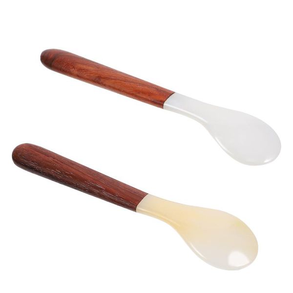spoons 2pcs natural shell coffee ice cream soup with wood handle