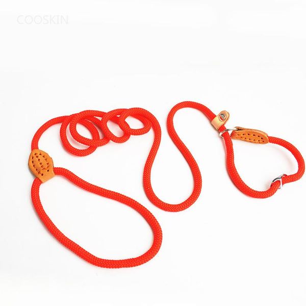 the pet traction rope nylon p dog belt mountaineering anti-strain chain collars & leashes
the pet traction rope nylon p dog belt mountaineering anti-strain chain collars & leashes