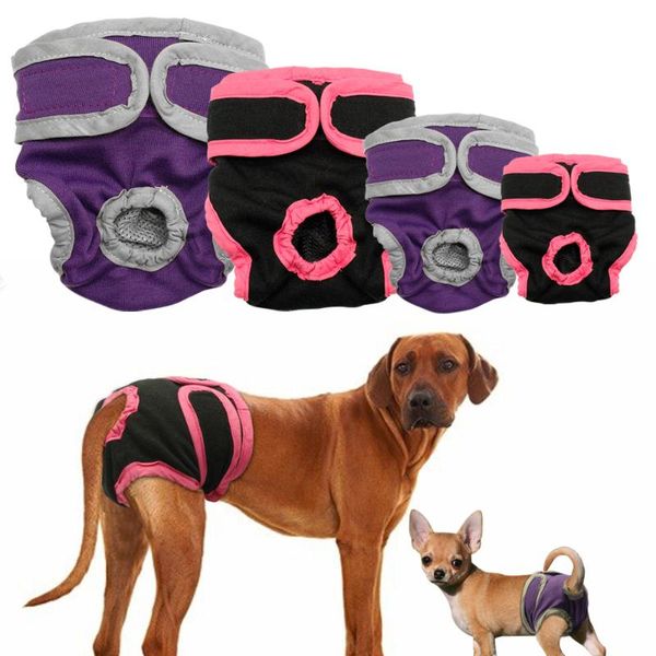 female dog shorts puppy physiological pants diaper pet underwear for small meidium girl dogs apparel
female dog shorts puppy physiological pants diaper pet underwear for small meidium girl dogs apparel
