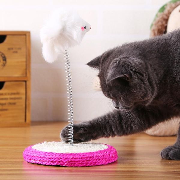 cat grinding catnip toy funny interactive plush kitten chewing thumb bite mint for cats teeth nn50wj toys
cat grinding catnip toy funny interactive plush kitten chewing thumb bite mint for cats teeth nn50wj toys