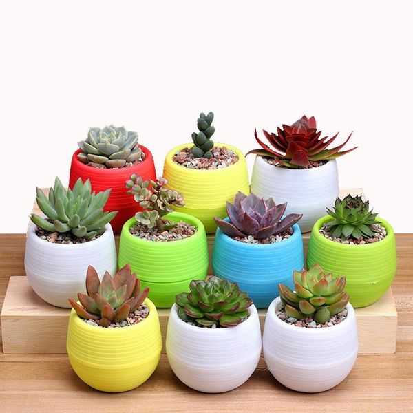 flower pots mini flowerpot on desk garden unbreakable plastic nursery for succulent plants jjjyl80 planters &
flower pots mini flowerpot on desk garden unbreakable plastic nursery for succulent plants jjjyl80 planters &