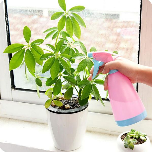 watering equipments 250ml empty spray bottle plastic the flowers water refillable bottles for salon plants garden irrigation tools
watering equipments 250ml empty spray bottle plastic the flowers water refillable bottles for salon plants garden irrigation tools