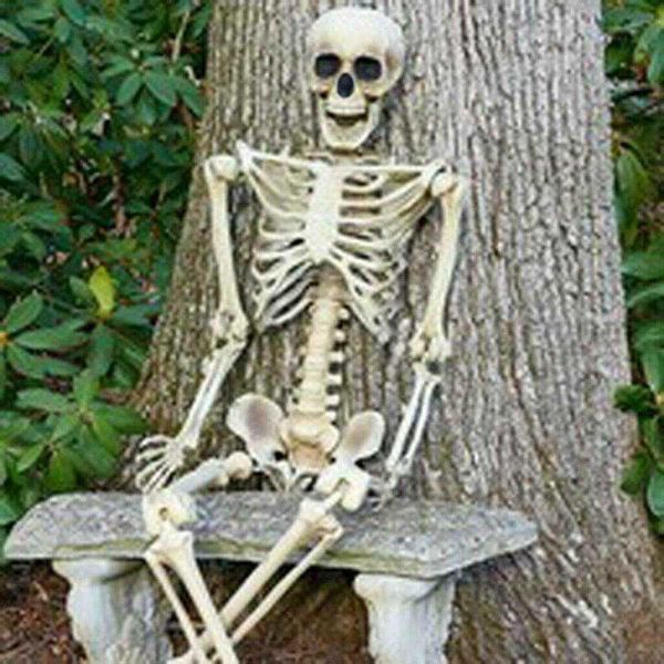 halloween jointed skeleton bones poseable full life size human skeleton prop halloween event party decoration p0827
halloween jointed skeleton bones poseable full life size human skeleton prop halloween event party decoration p0827
