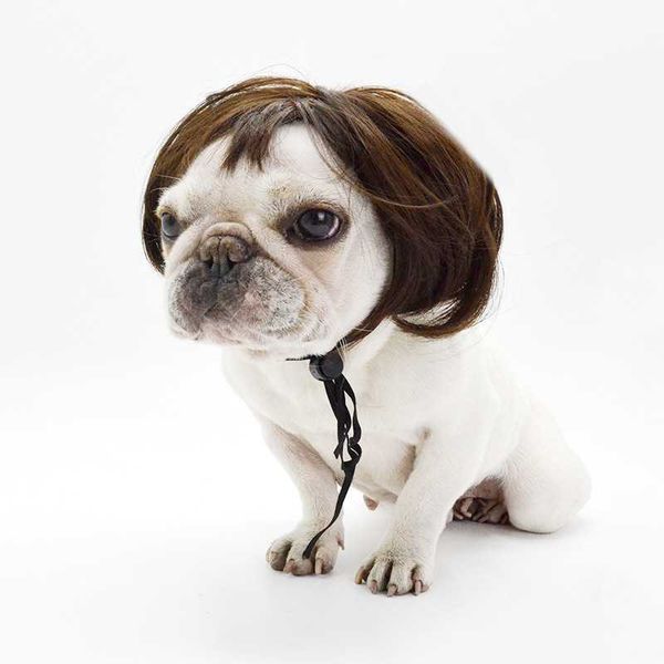 dog cat wig costumes interesting pet puppy kitten cap hat headdress christmas halloween party supplie apparel
dog cat wig costumes interesting pet puppy kitten cap hat headdress christmas halloween party supplie apparel