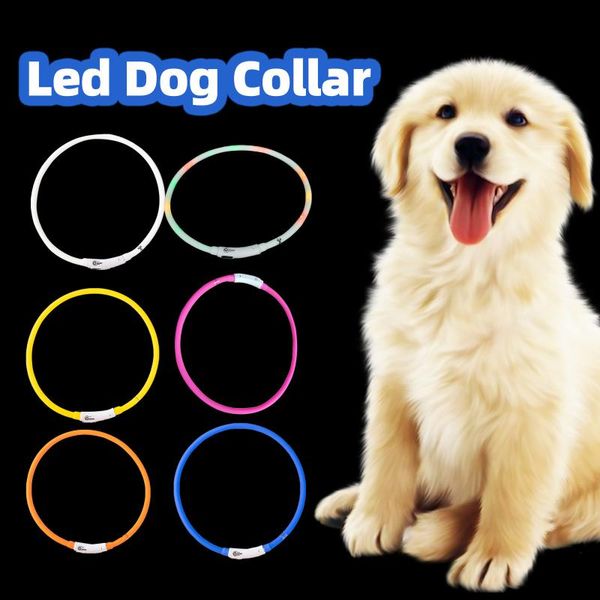 cat collars & leads rechargeable night luminous pet collar prevents pets from getting lost at harnesses outdoor dog decor accessorie
cat collars & leads rechargeable night luminous pet collar prevents pets from getting lost at harnesses outdoor dog decor accessorie