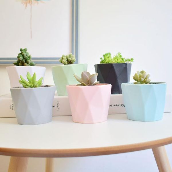 vases macaron mini fleshy plant flowerpots for home and garden succulents deskdecoration crafts green flower pot vase
vases macaron mini fleshy plant flowerpots for home and garden succulents deskdecoration crafts green flower pot vase
